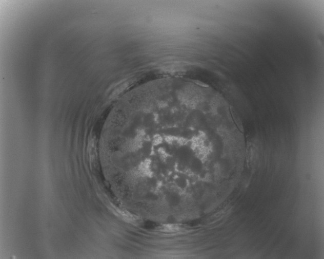 X0000077360623200610271856