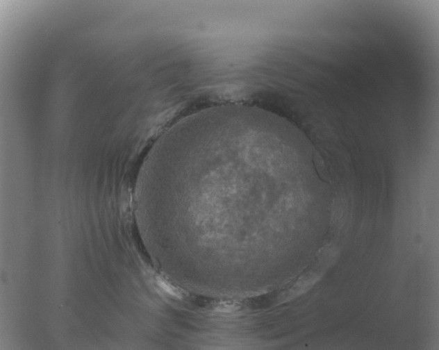 X0000077360624200610271856