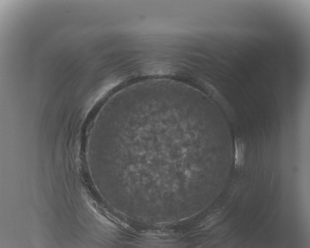 X0000077360627200610271855