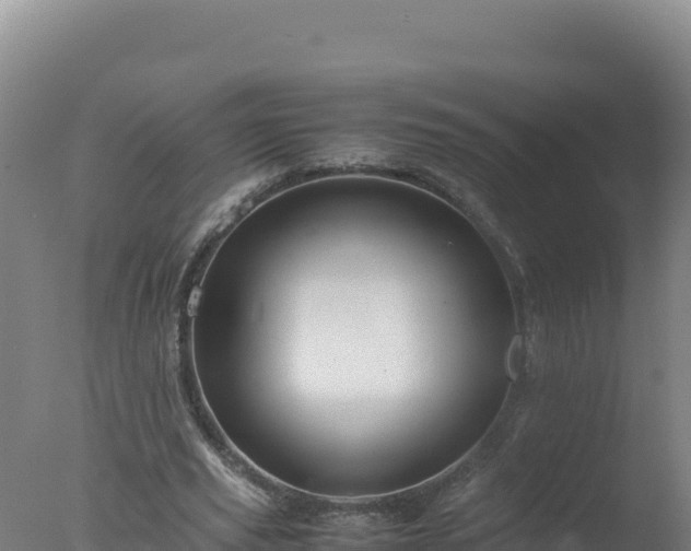 X0000077360629200610271855