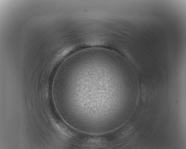 X0000077360631200610271855