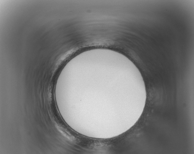 X0000077360632200610271855