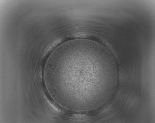 X0000077360633200610271855