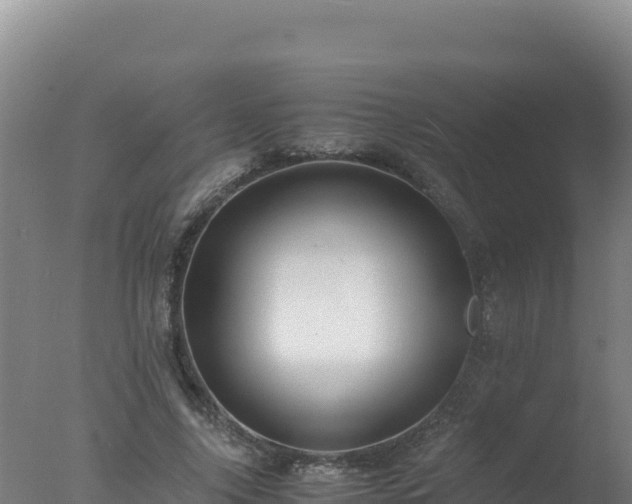 X0000077360635200610271855