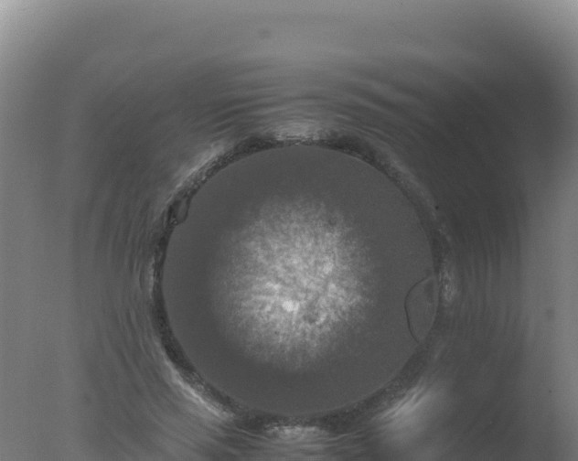 X0000077360637200610271855