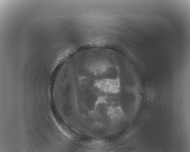 X0000077360638200610271855