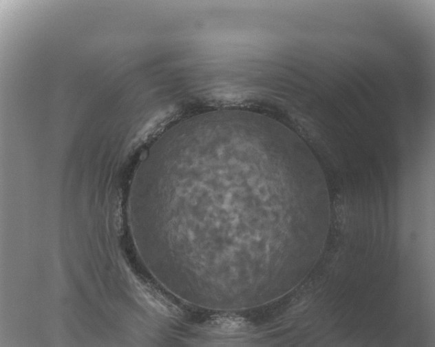 X0000077360642200610271855