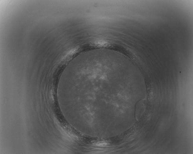 X0000077360643200610271855