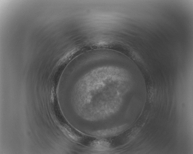 X0000077360644200610271855