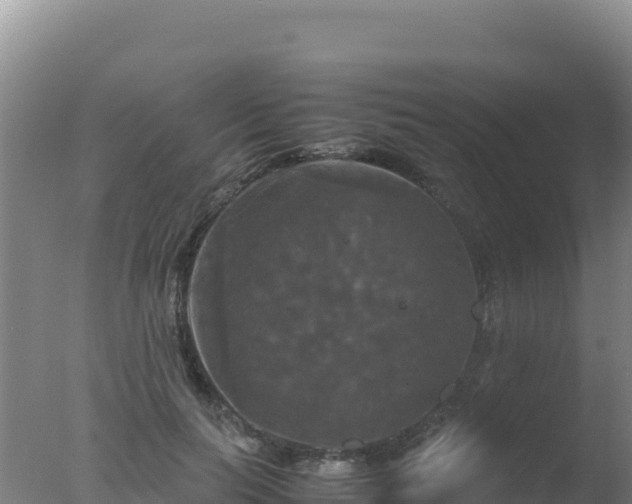 X0000077360647200610271855