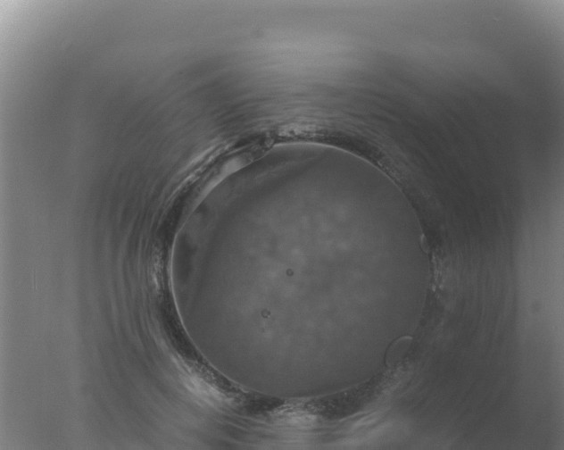 X0000077360648200610271855