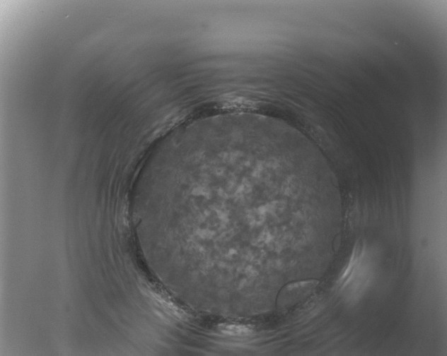 X0000077360649200610271855