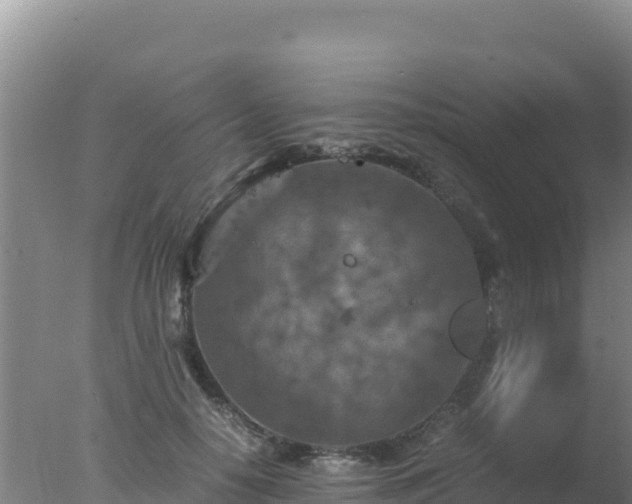 X0000077360650200610271855