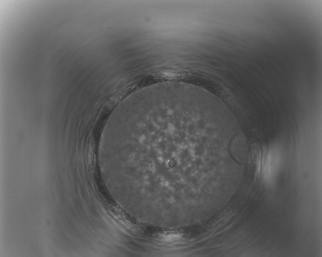 X0000077360651200610271855