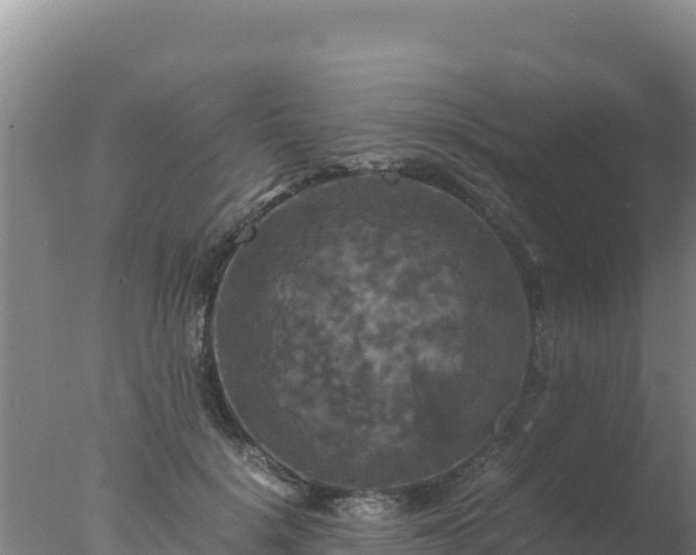 X0000077360652200610271855