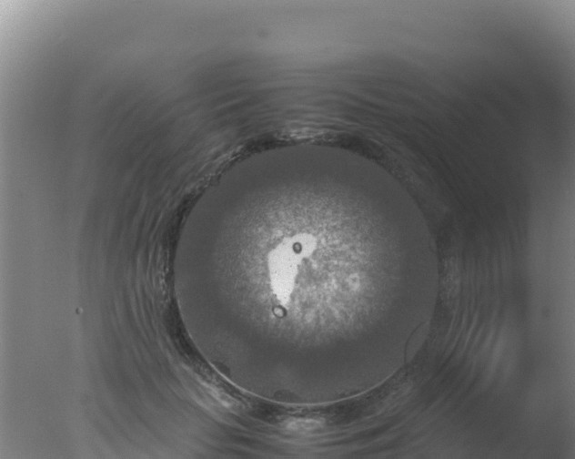 X0000077360653200610271855