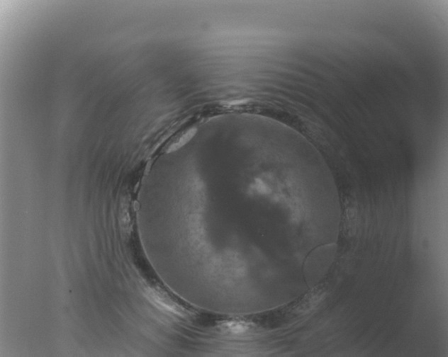 X0000077360654200610271855