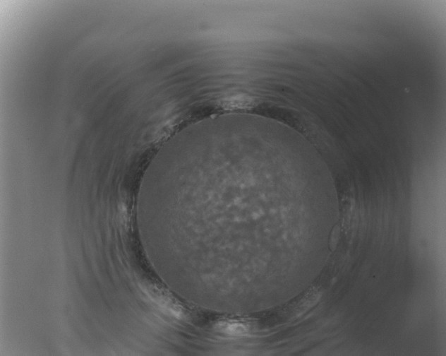 X0000077360655200610271855