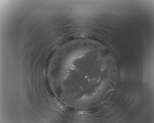 X0000077360657200610271855