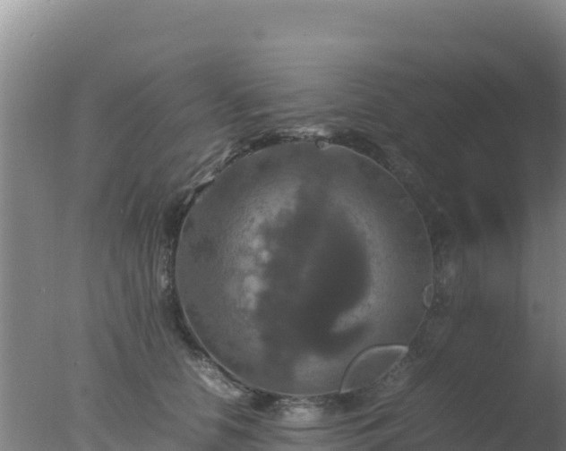 X0000077360658200610271855