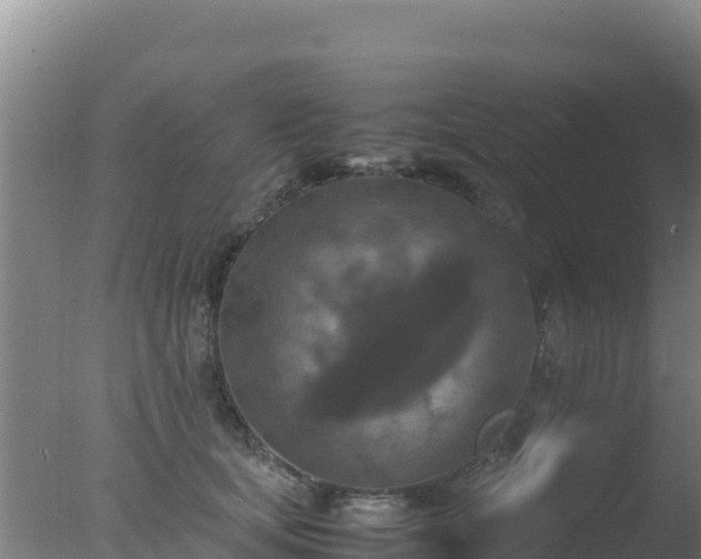 X0000077360659200610271855