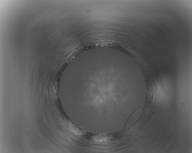 X0000077360661200610271855