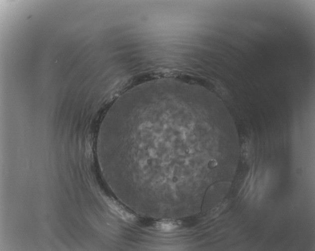 X0000077360662200610271855