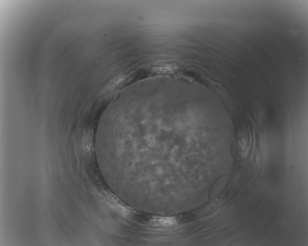 X0000077360665200610271855