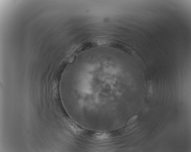 X0000077360667200610271855