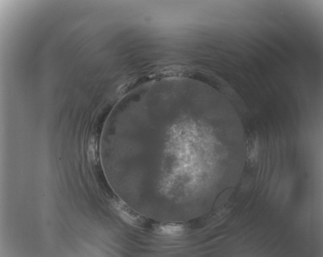 X0000077360669200610271855