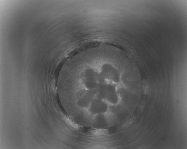 X0000077360670200610271855