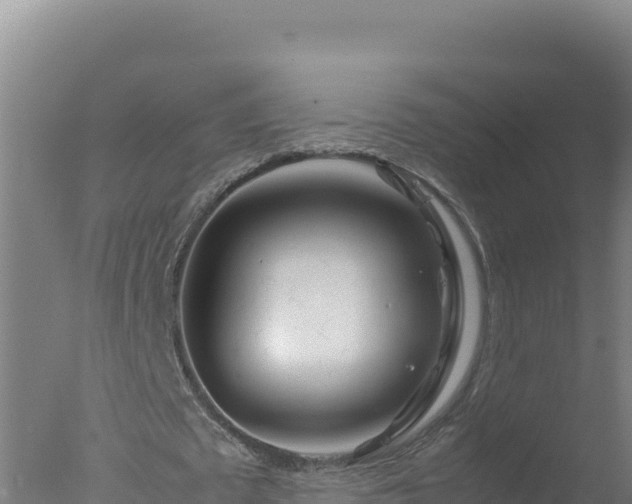 X0000077360673200610271855