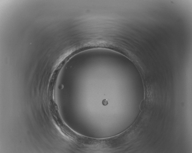 X0000077360674200610271855