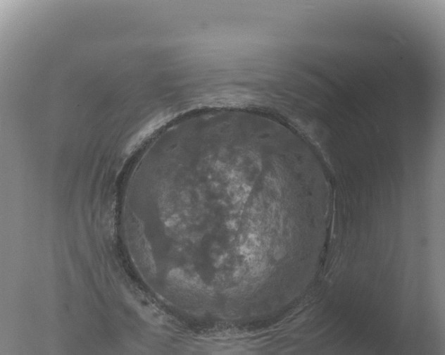 X0000077360675200610271855