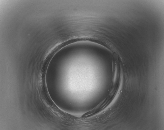 X0000077360676200610271855