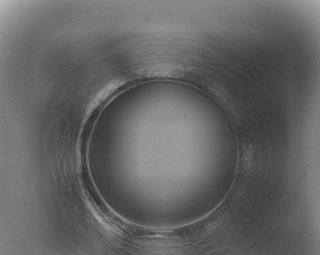 X0000077360678200610271855