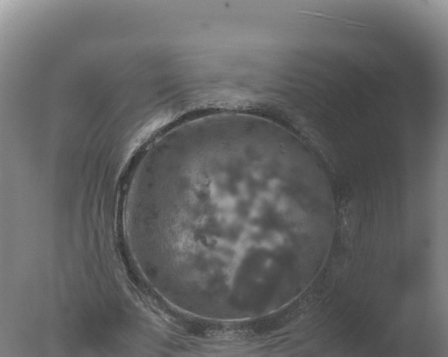 X0000077360679200610271855