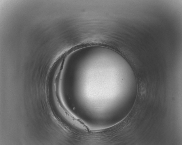 X0000077360680200610271855