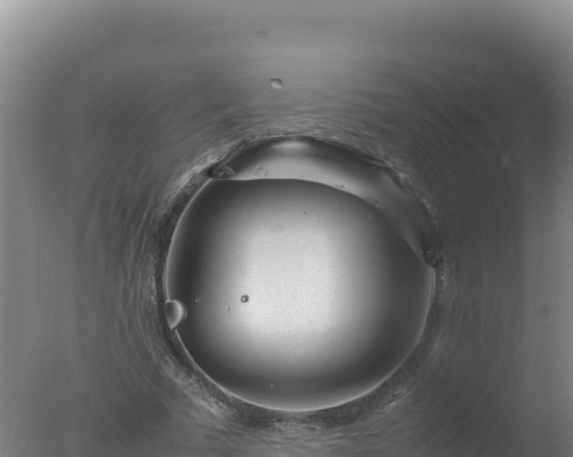 X0000077360681200610271855