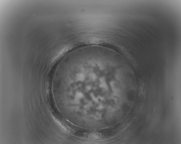 X0000077360683200610271855