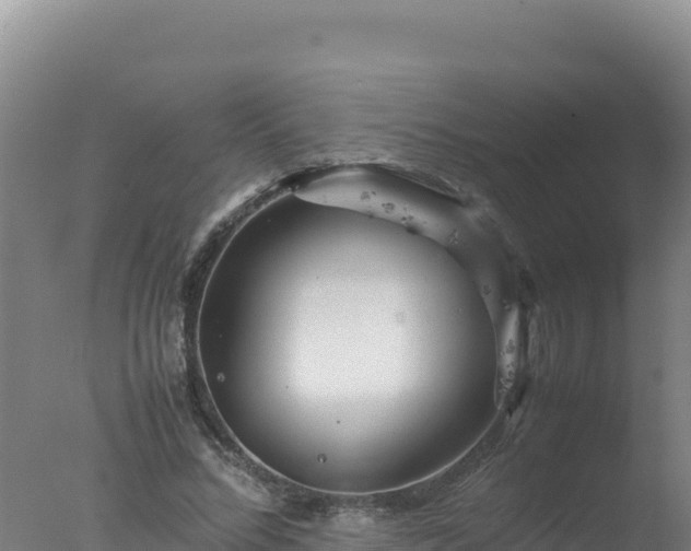 X0000077360684200610271855