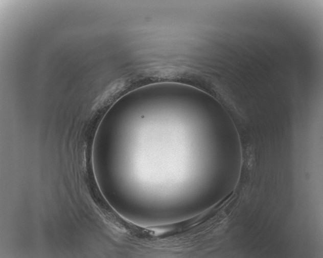 X0000077360685200610271855