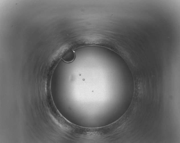 X0000077360686200610271854