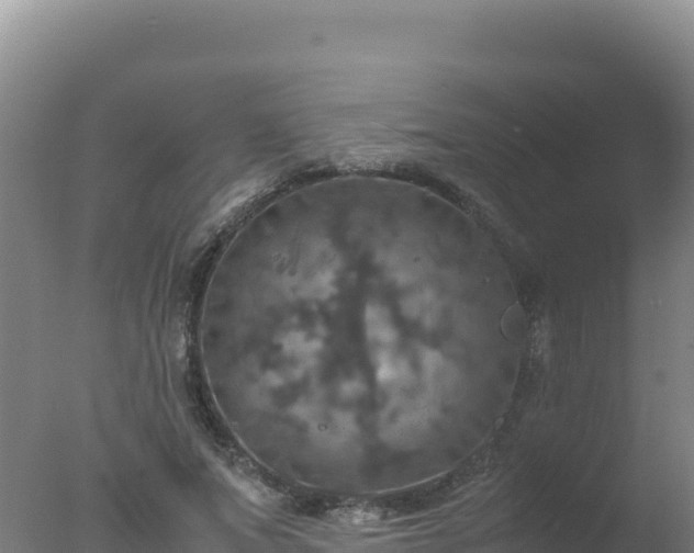 X0000077360687200610271854