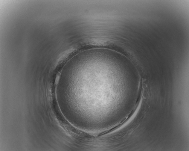 X0000077360688200610271854