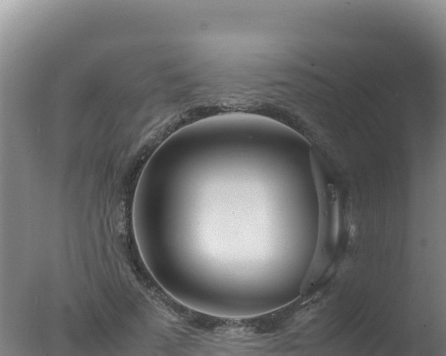 X0000077360689200610271854