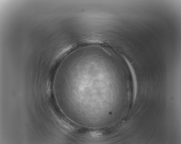 X0000077360692200610271854