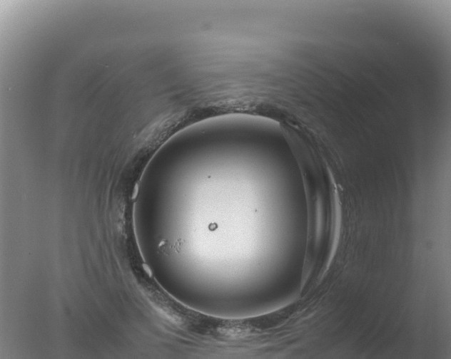 X0000077360693200610271854