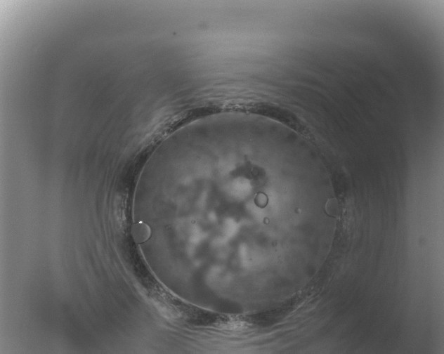 X0000077360695200610271854