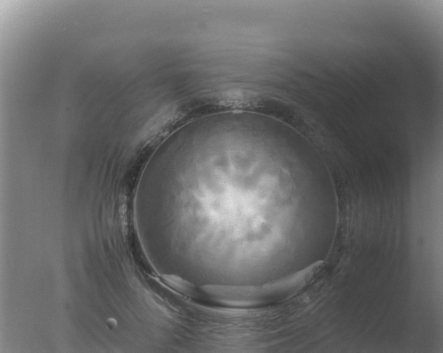 X0000077360696200610271854